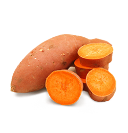sweetpotato