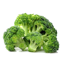 Broccoli
